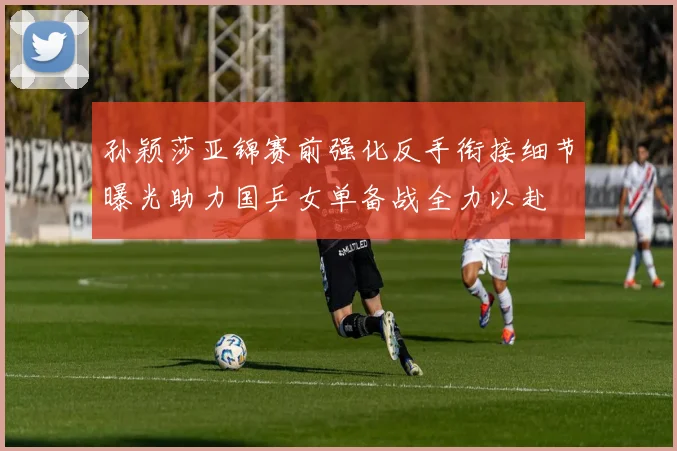 孙颖莎亚锦赛前强化反手衔接细节曝光助力国乒女单备战全力以赴
